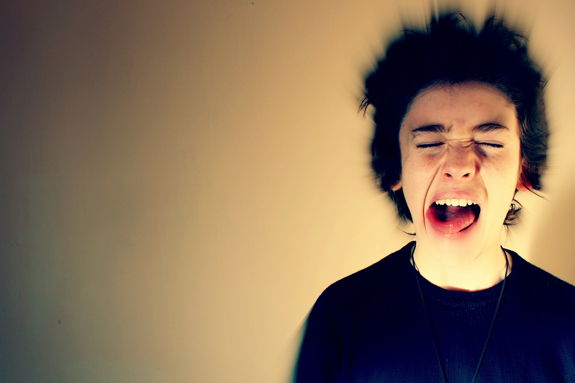 scream-gcc3db9fb8_1920_pixabay